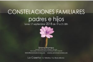 Constelaciones Familiares Emma Romeo Padres e Hijos Taller